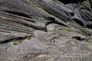 Kelleys Island ice age grooves