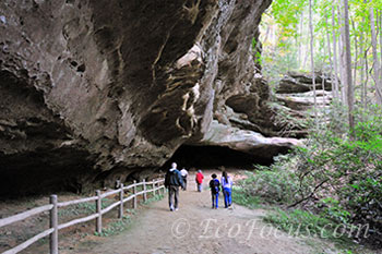 Hikers going to Indian Rock Cave