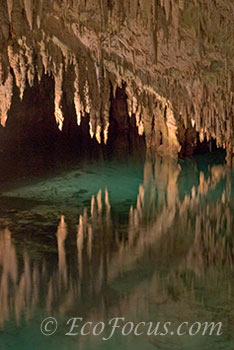 Prospero's cave